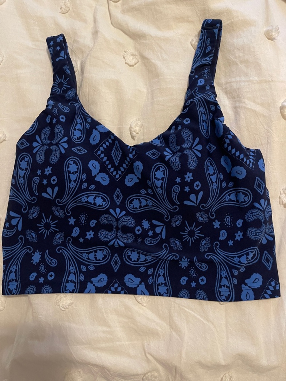 aerie Navy and Light Blue Paisley Crop Tank